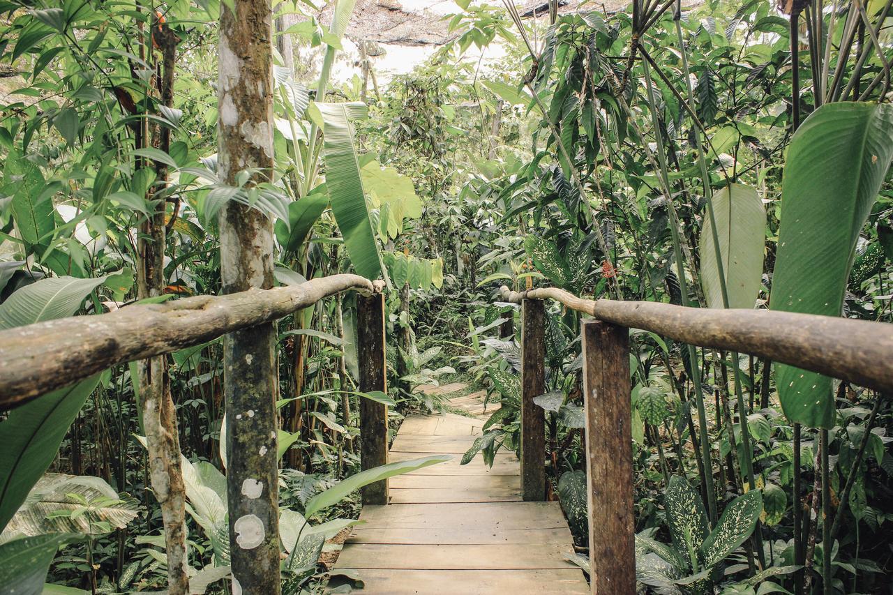 Libertad Jungle Lodge Yucuruche Esterno foto